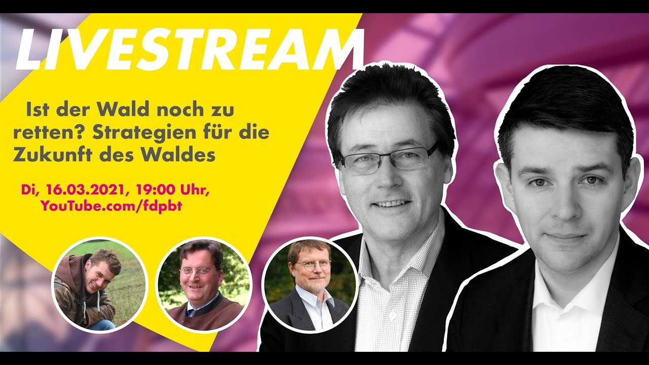Ist der Wald noch zu retten? Strategien f&uuml;r die Zukunft des Waldes