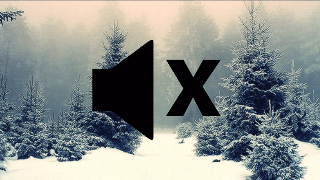 Winter Snow Forest ~4 Hour Long with No Sound~