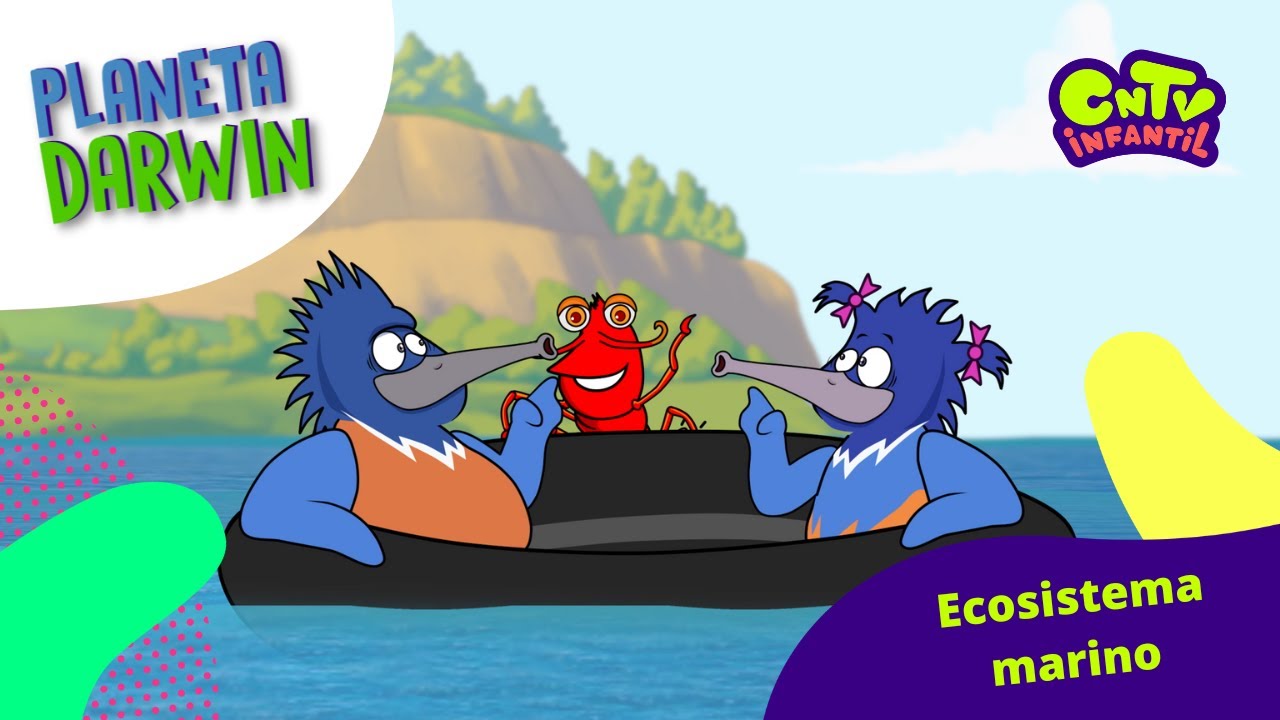 Ecosistema marino - Explicado para niños: Planeta Darwin
