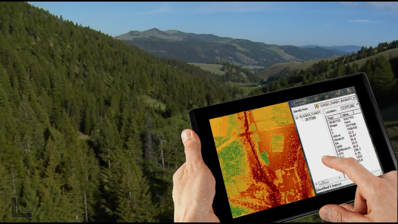 Leading Edge Geomatics LiDAR - Forest Management Solution and Enhanced Forest Inventory