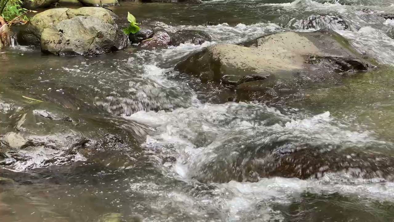 Tidur Nyenyak dengan Suara Sungai ASMR 28 #sungai #relaksasi #asmr 