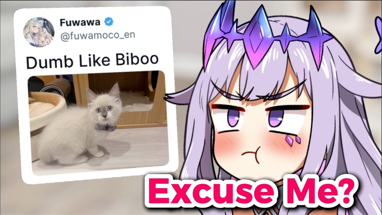 Biboo's Thought on FWMC's Important Annoucement..
