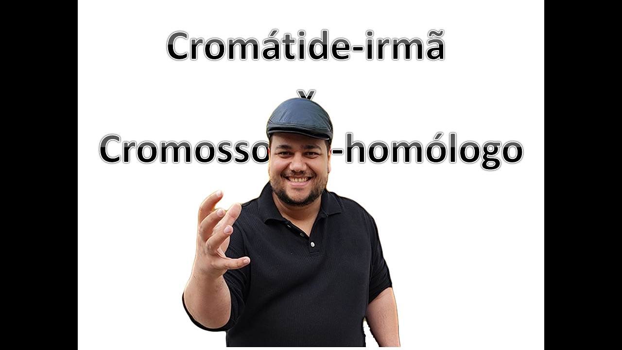 Crom&aacute;tide irm&atilde; x cromossomo-hom&oacute;logo