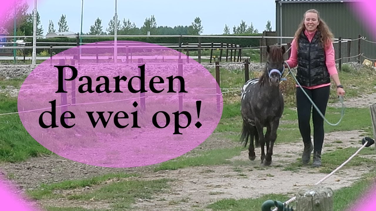 Paarden de wei op! ♥ april 2020 ♥