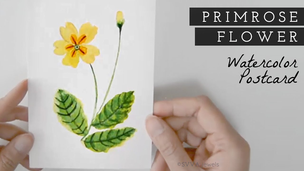 How to Watercolor: Yellow Primrose Flower with Bud & Leaves - Easy
