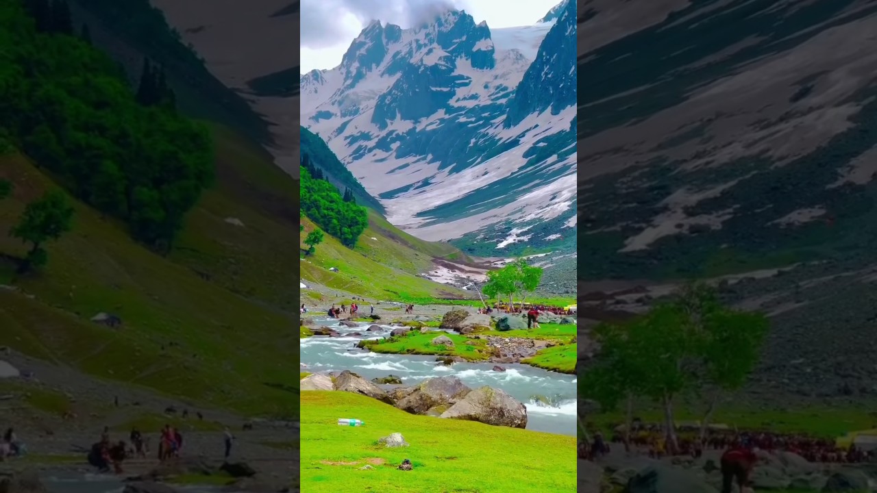 suno to zaara🎵❤️ kashmir view🌲#shorts #youtubeshorts #trending #kashmir