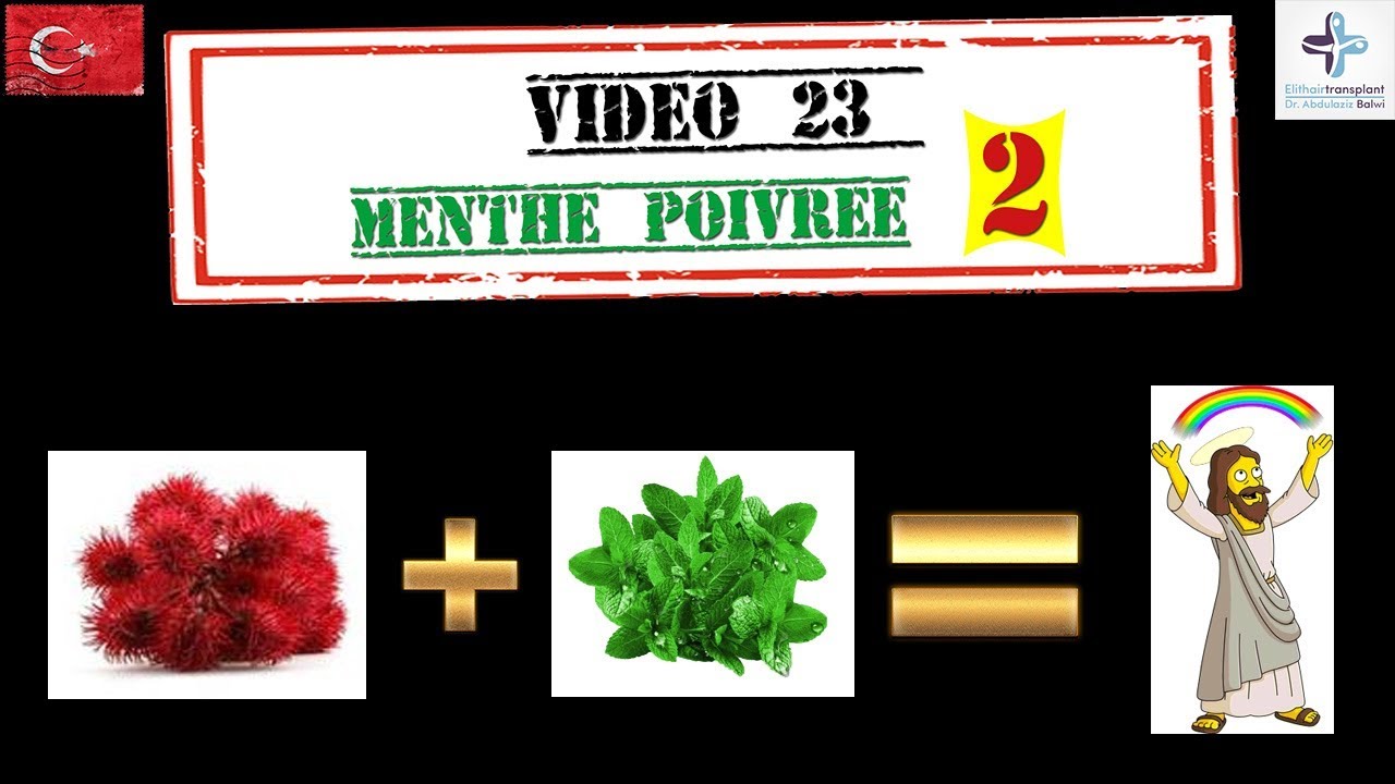 Menthe poivrée Recette 2 - Ma greffe de cheveux FUE en Turquie [23]