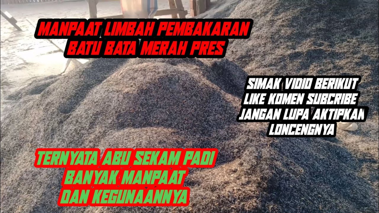 manpaat abu sekam padi limbah pembakaran batu bata
