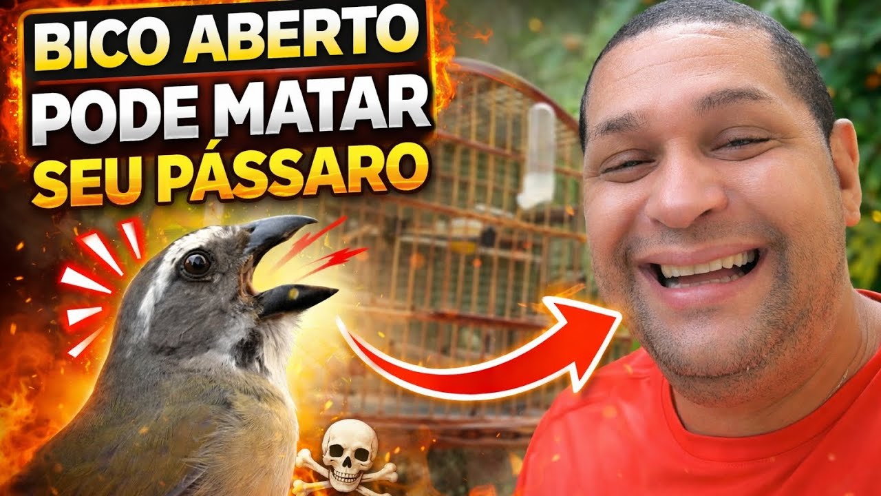 TRINCA-FERRO DE BICO ABERTO PODE SER  DOENÇA SABIA TOME  CUIDADO‼️