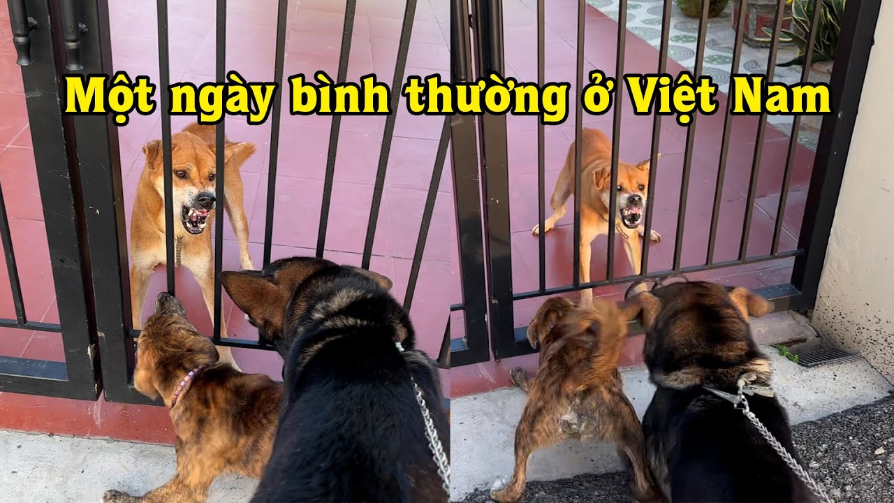 Vào một ngày đẹp trời tại Việt Nam, mùa đông 15/12/2025
