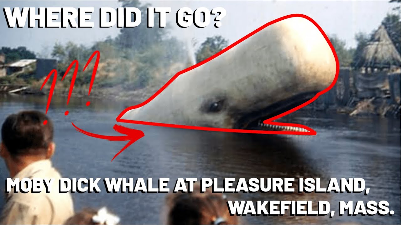 What Happened to Moby Dick at Pleasure Island, Wakefield, MA?
