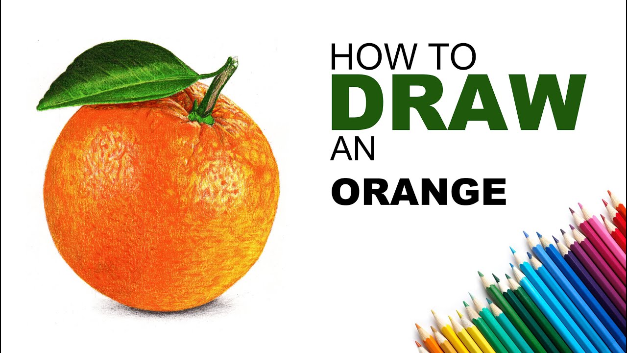 How to Draw an Orange 🍊