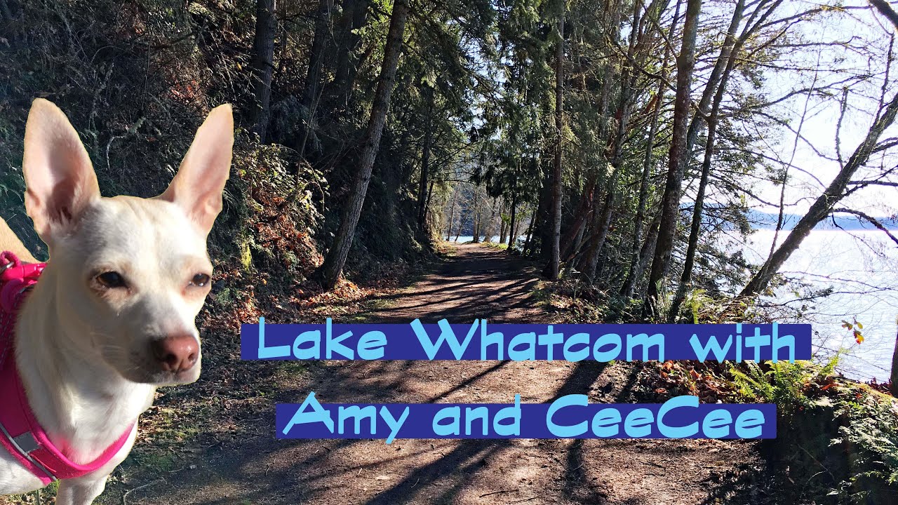 Come hike North Lake Whatcom Trail with me! - Whatcom County Trails - Hiking Vlog