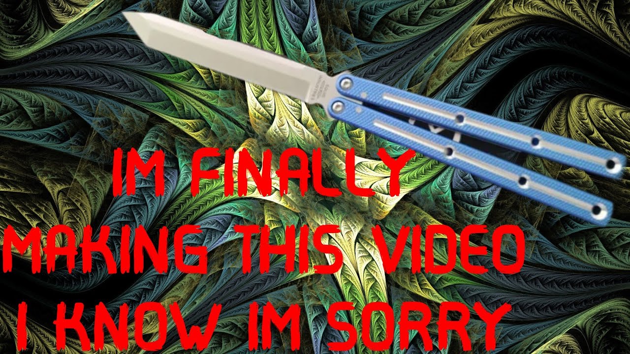 Сравнение с Baliplus V2.5 Kraken: насколько они сопоставимы?