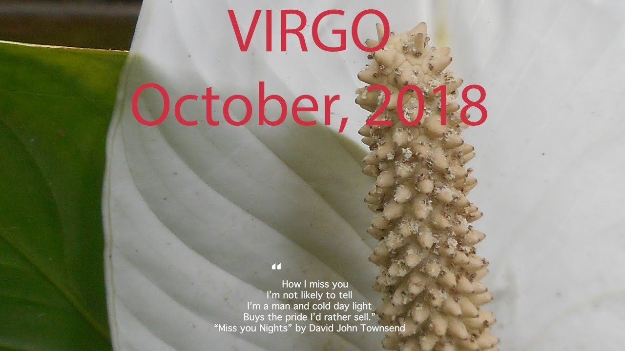 Virgo THIRD PARTY KARMIC CYCLE OCTOBER 2018 Tarot Reading