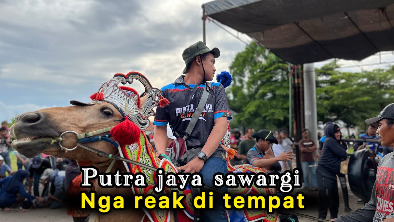 Kuda renggong  putra jaya sawargi nga reak 