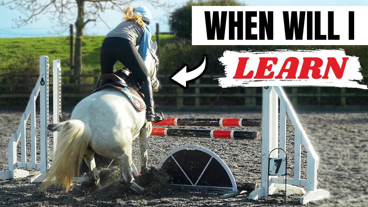 I NEED TO TRUST MY HORSES