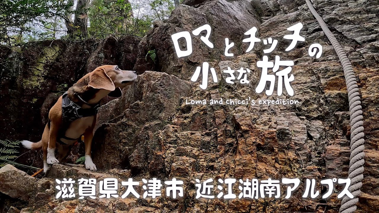 【近江湖南アルプス】ロープ場で立ちすくむ！？その先に広がる絶景！鶏冠山〜天狗岩〜白石峰縦走ルート【犬連れ登山】
