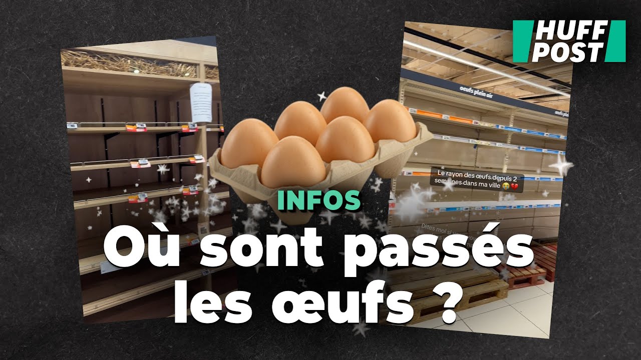 Y a-t-il une p&eacute;nurie d'&oelig;ufs dans les magasins en France ?