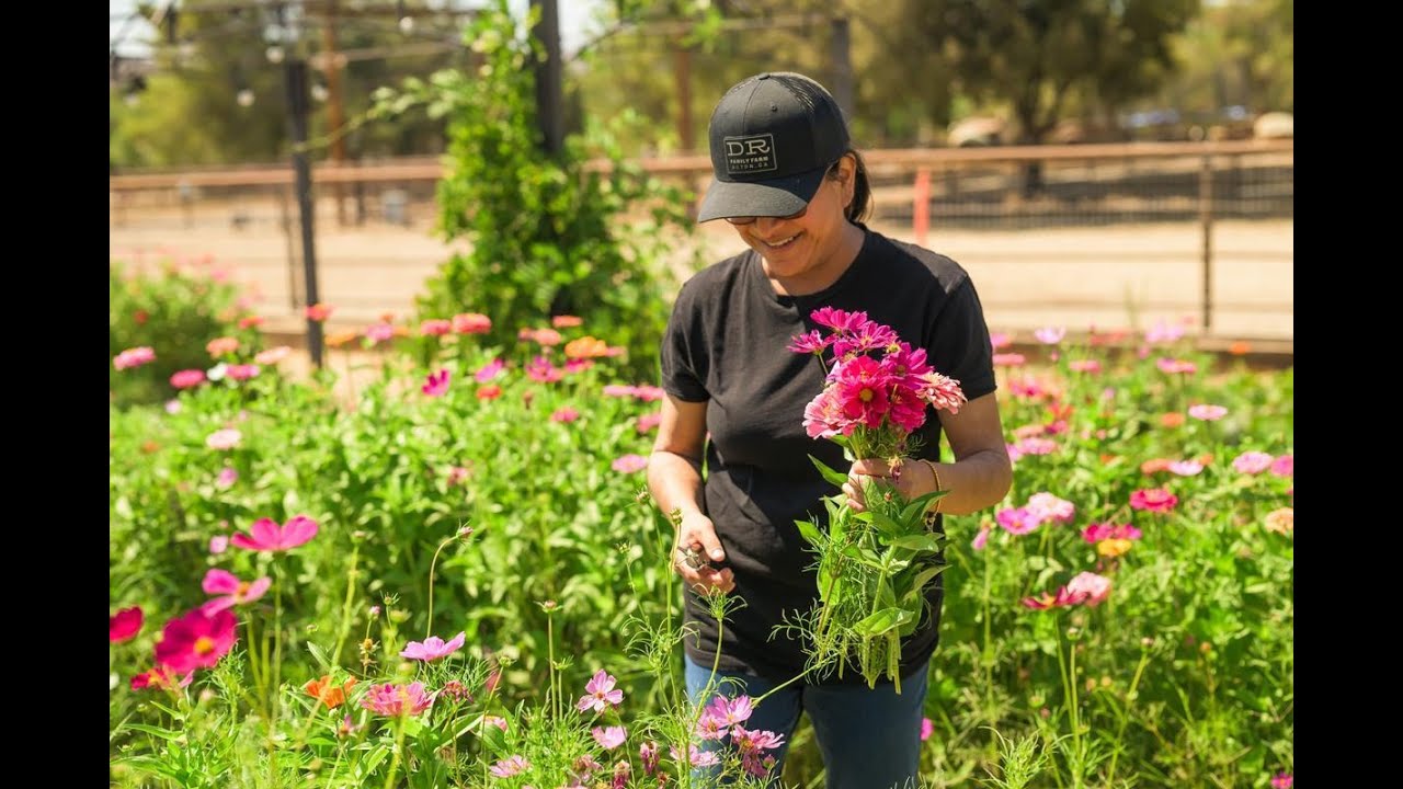Visit DeBellis Ranch: A Place to Bloom and Grow