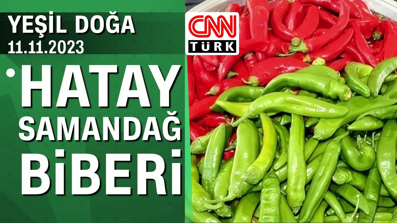 Coğrafi işaretli Hatay Samandağ biberinin hikayesi - Yeşil Doğa 11.11.2023 Cumartesi