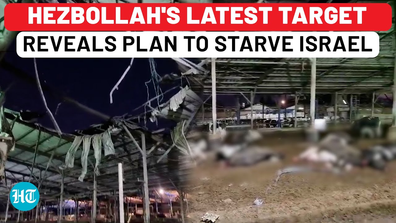 Hezbollah Distracts IDF, Hidden Attack Amid 85-Rocket Strike Shows Plan To Starve Israel? | Haifa