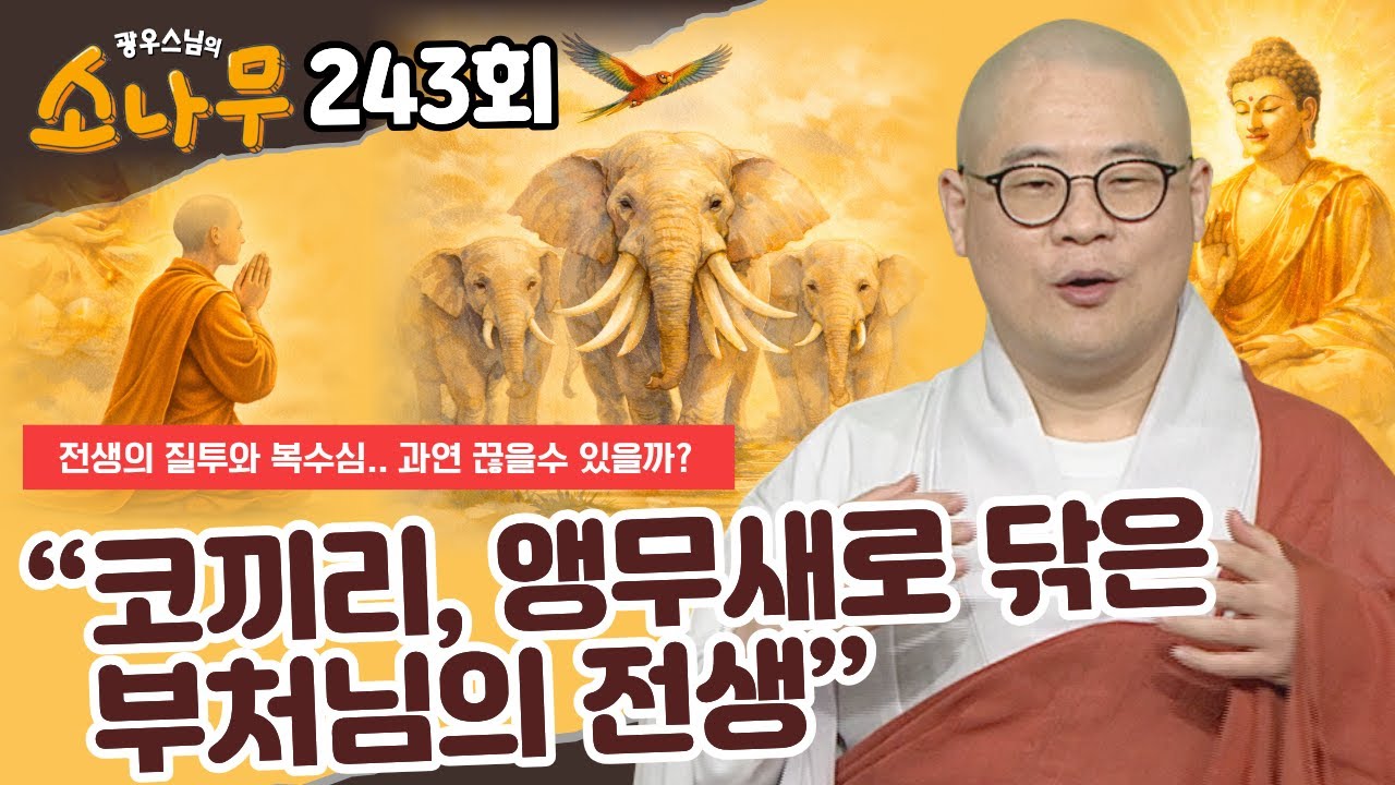 부처님 조차 피하지 못한 전생의 업보.. .어떻게 끊을수 있나? #광우스님의 소나무 243회 전체영상 # 광우스님 소나무