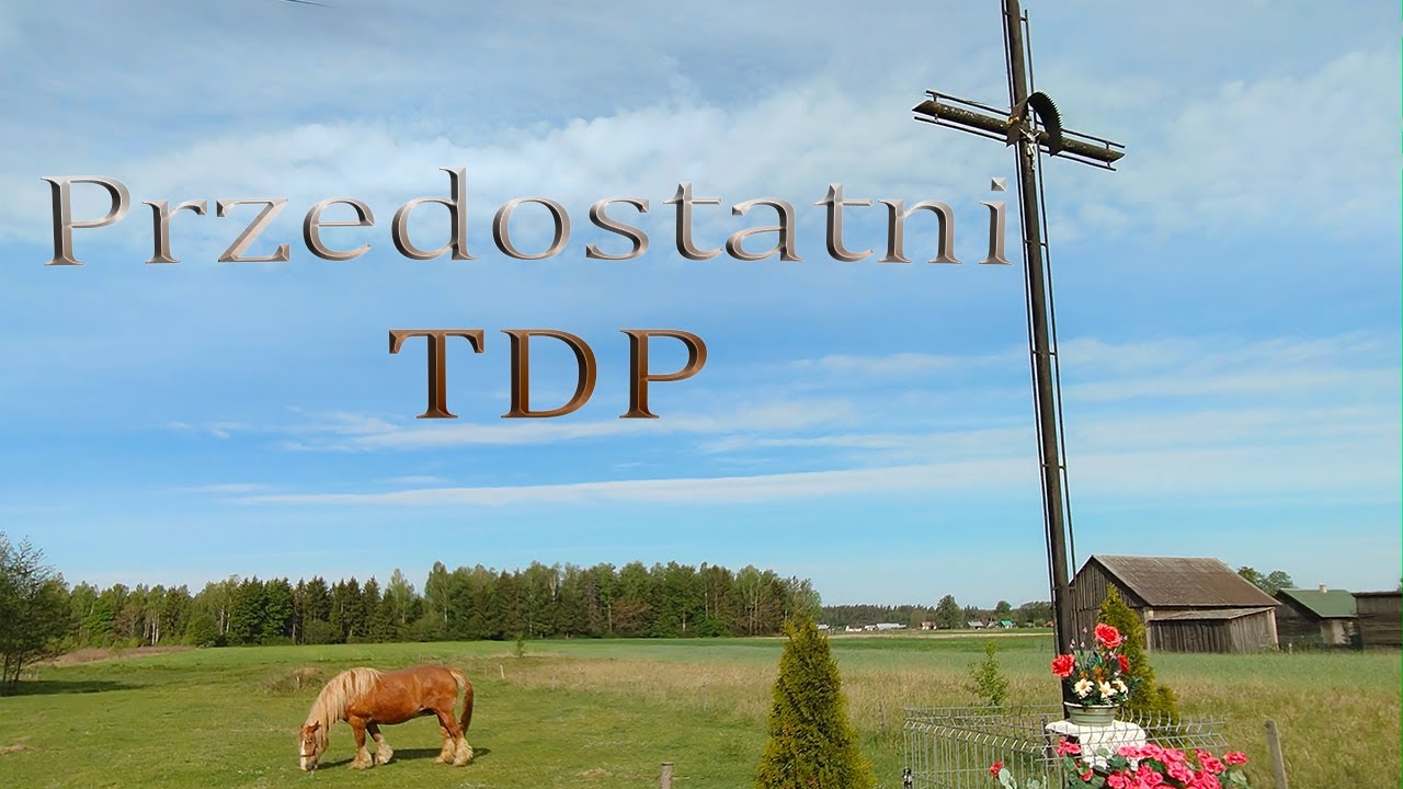 Przedostatni TDP