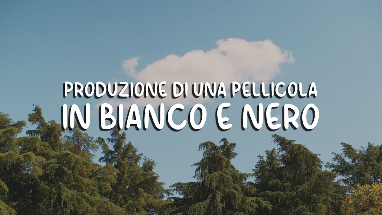 Processo di PRODUZIONE di una PELLICOLA BIANCO E NERO