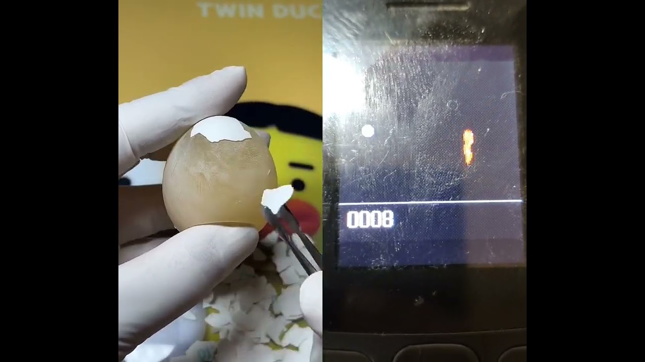 Robert art egg #egg #satisfying #oddlysatisfying #funny #comedy #comedyprogram #bubbletea