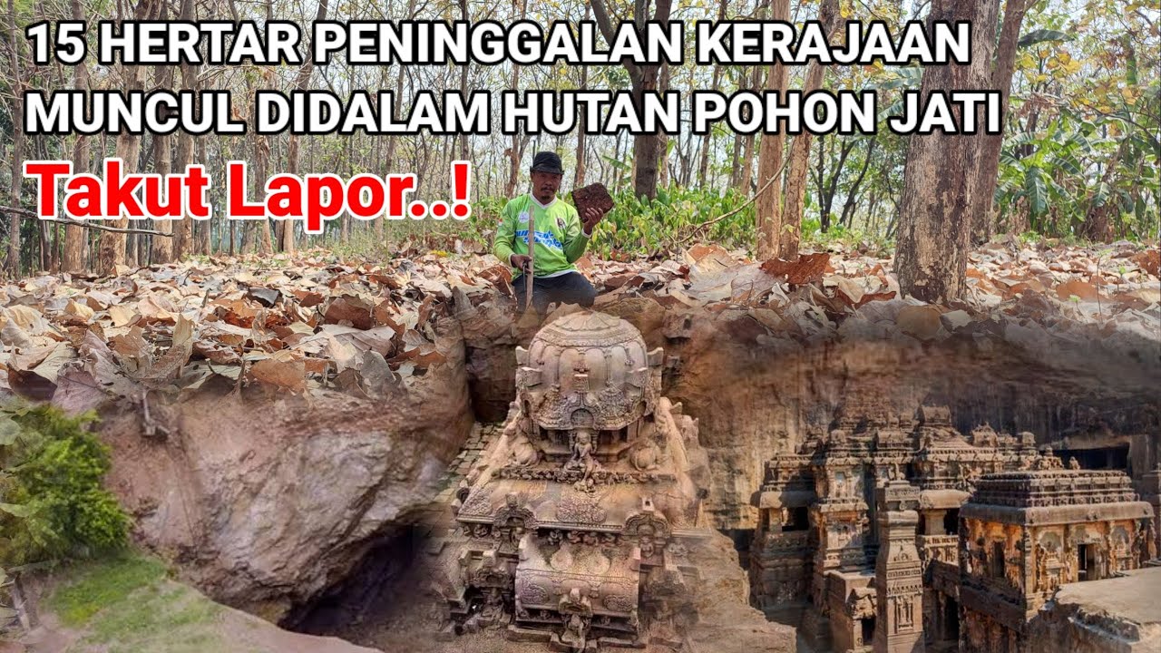 Gempar..! Ditemukan peninggalan istana kerajaan didalam hutan pohon jati
