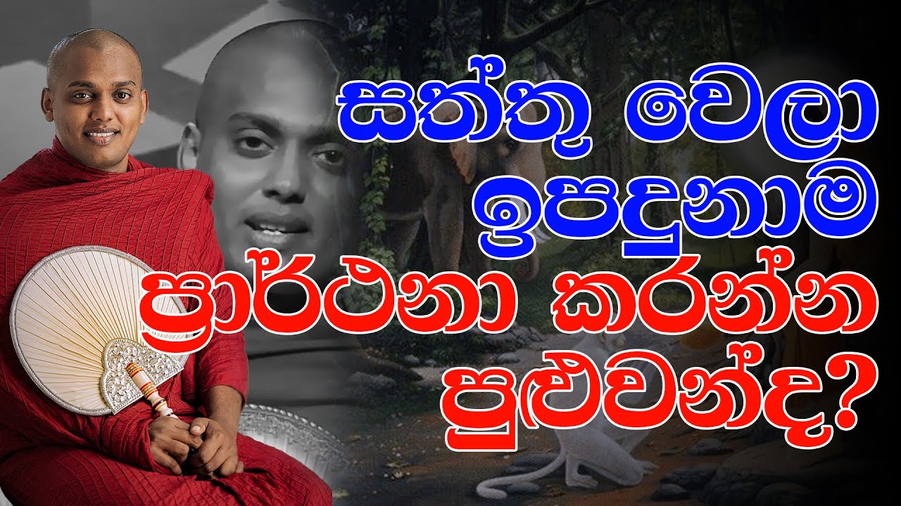 සත්තු වෙලා ඉපදුනාම ප්‍රාර්ථනා කරන්න පුළුවන්ද? ‍| පූජ්‍ය කත්නෝරුවේ සිරිධම්ම ස්වාමීන් වහන්සේ