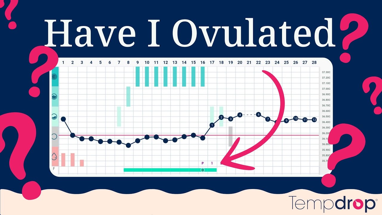 Have I Ovulated Yet? (Real-life BBT Chart Examples)