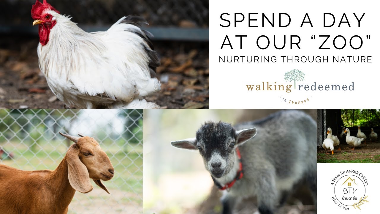 Spend A Day At Our Zoo : Nurturing our kids through nature