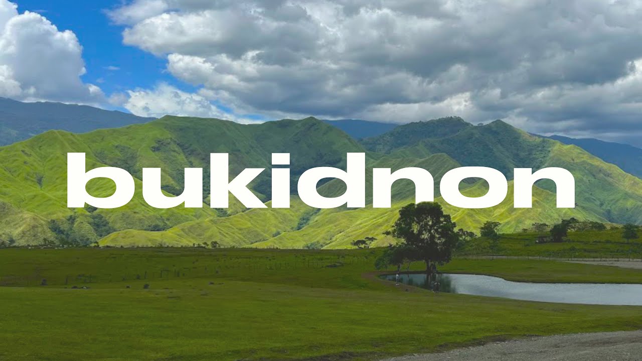 BUKIDNON: Lover's Lane, Communal Ranch, Pine Ridge, Dahilayan Adventure Park | ronapalmi