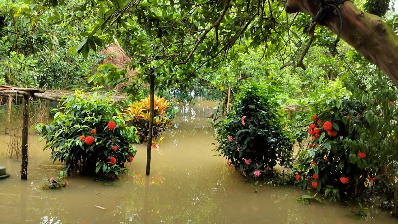 Humhare Garden Me Flood 😲 #flood