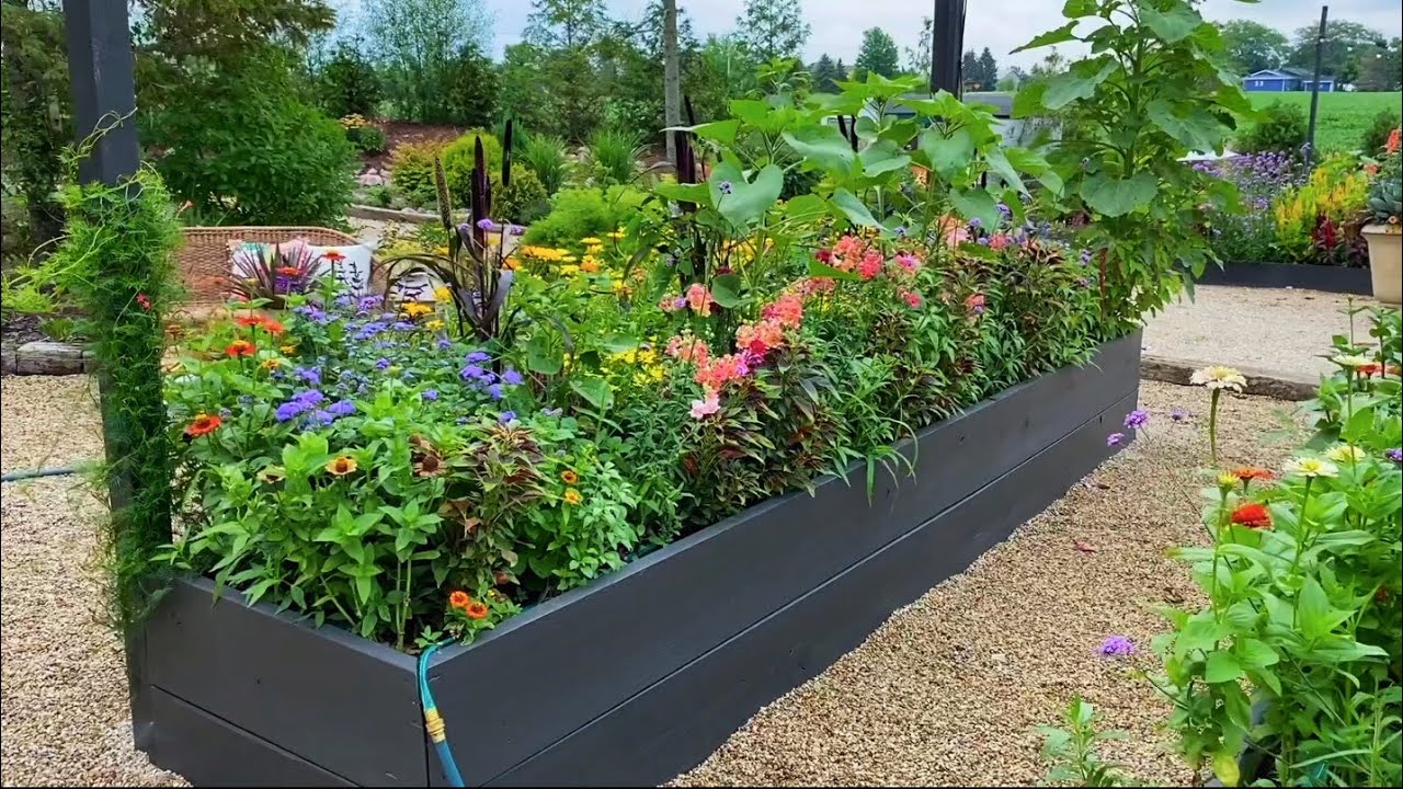Видеоблог о высоких грядках | Советы по садовому дизайну | Клубничная грядка | Цветы, фрукты и ов...