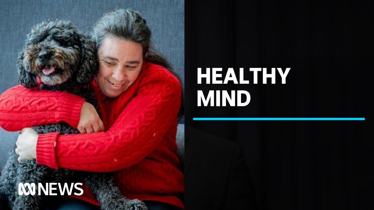 Online tool providing support to people with an intellectual disability | ABC News