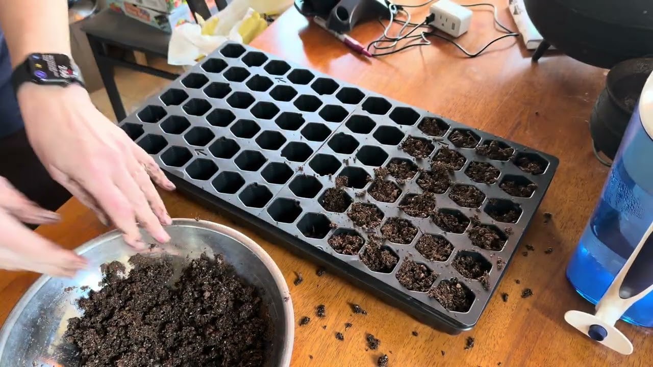 Soil Prep for seed starting
