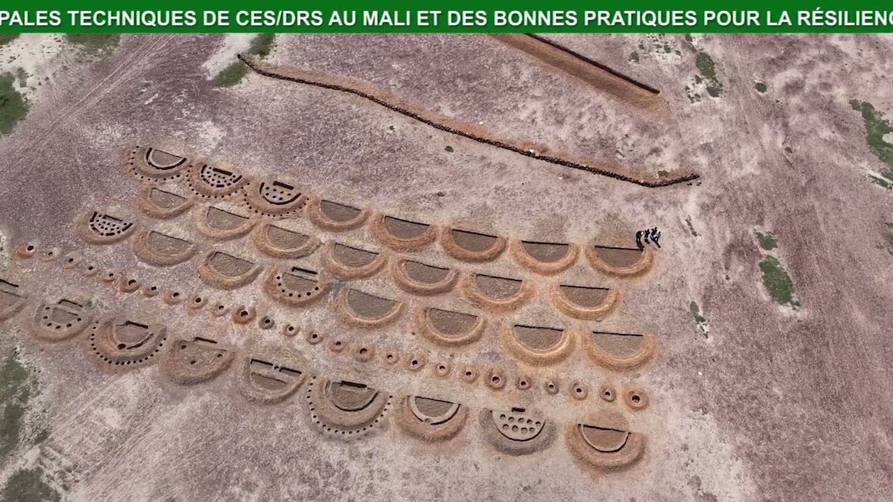 Les techniques de restauration des sols avec Oumar SAMAKE de l'IER.