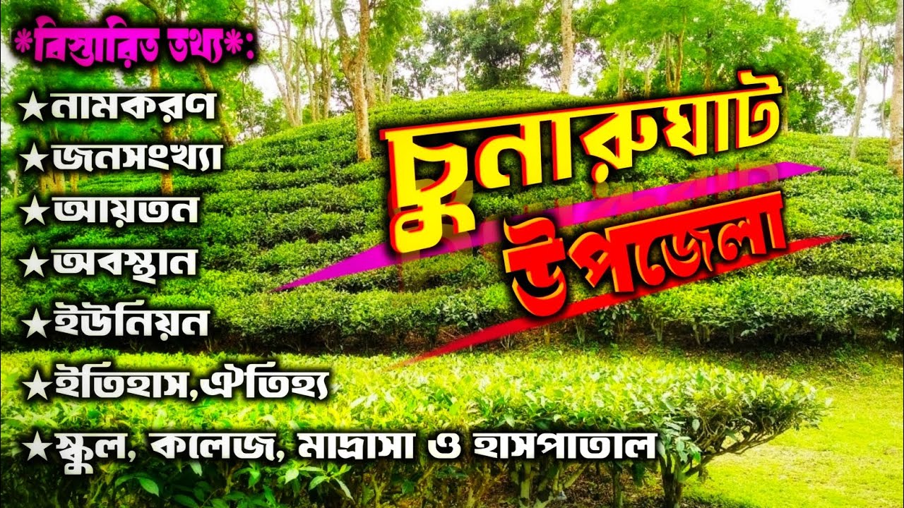 এক নজরে চুনারুঘাট উপজেলার বিস্তারিত তথ্য। হবিগঞ্জ জেলার অন্তর্ভুক্ত চুনারুঘাট উপজেলা। Chunarughat.