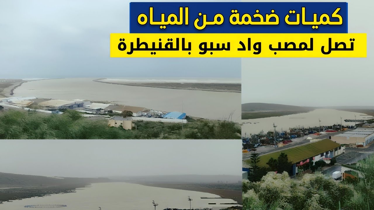 شاهد كميات ضخمة من مياه سدود حوض سبو تصل لمصب واد سبو بالقنيطرة