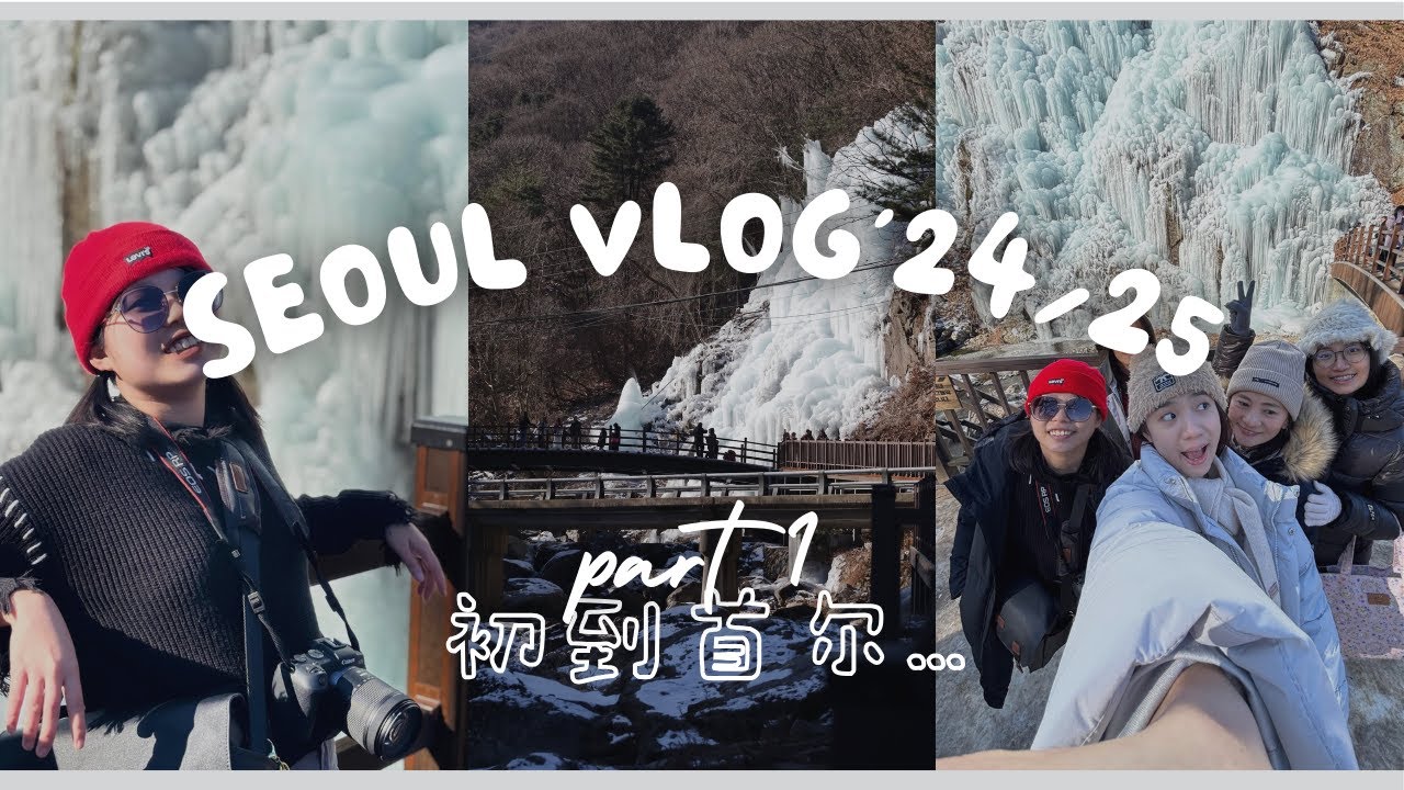 Wings Vlog | 24/25 韩国首尔 🇰🇷 EP.1 | 为什么又是鸡 😂🐔！望远市场，明洞一只鸡，鱼飞溪谷