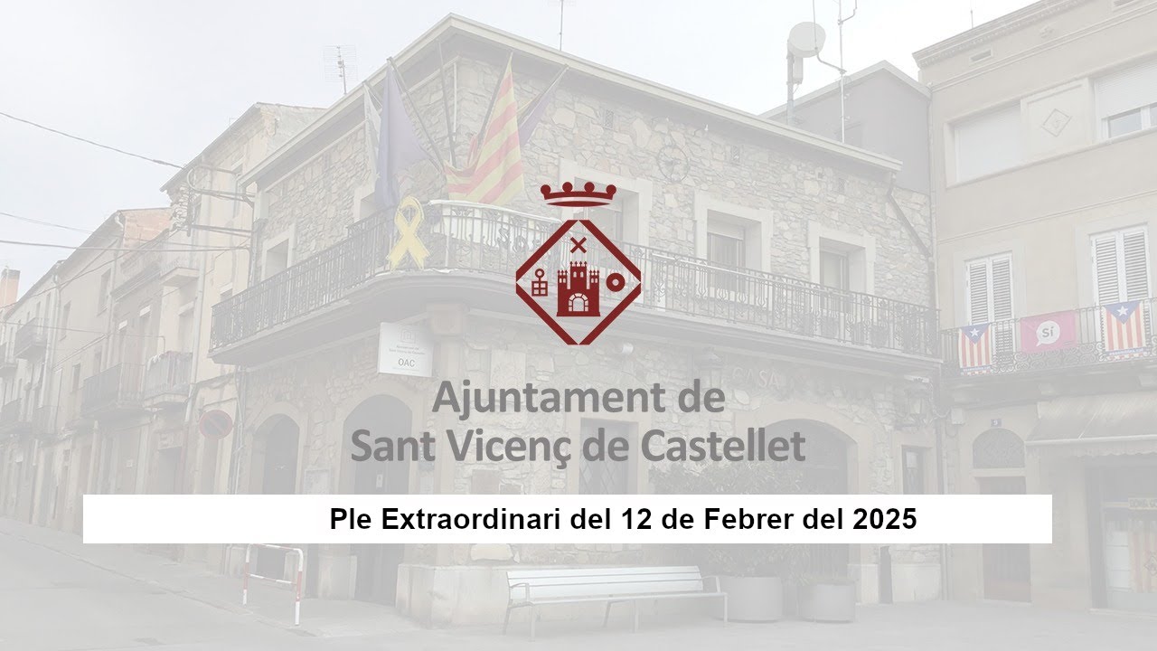 Ple Extraordinari del 12 de febrer de 2025
