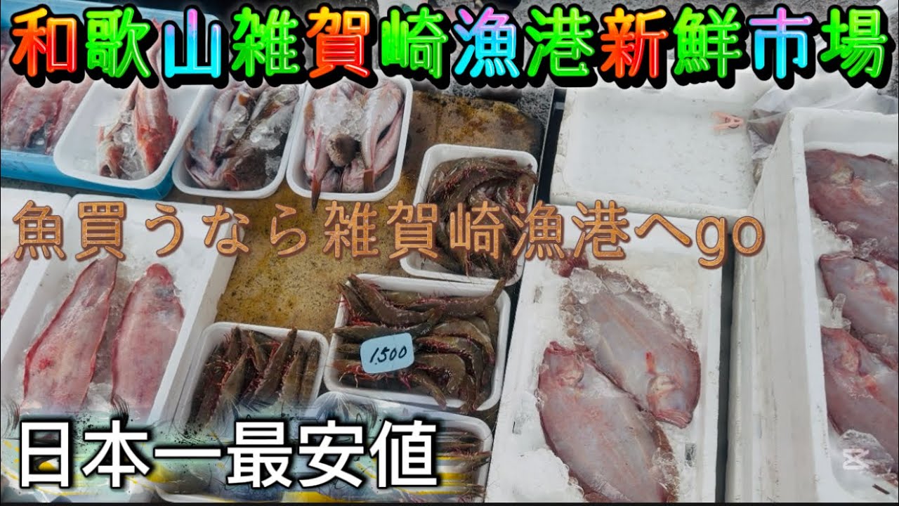 【雑賀崎新鮮激安市場】最安値　新鮮　日本一和歌山雑賀崎漁港へgo
