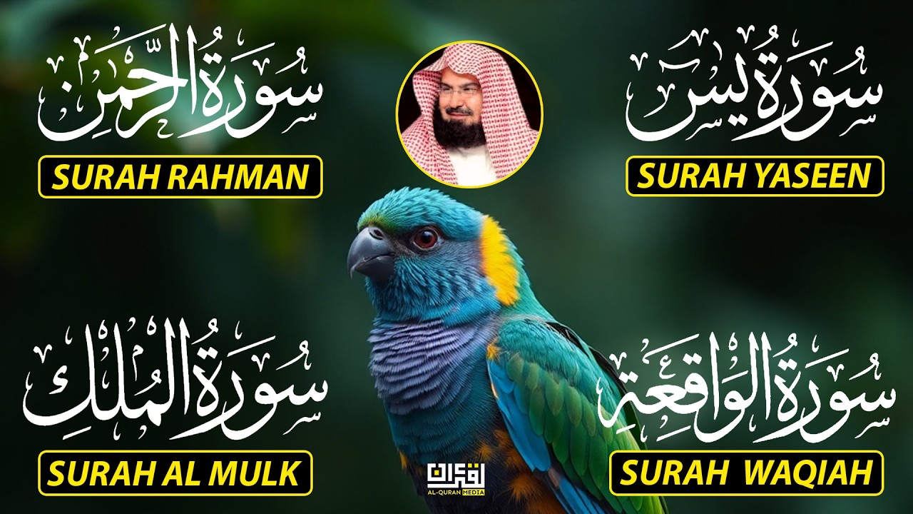 Surah Yasin | Surah Rahman | Surah Waqiah | Surah Mulk | By Sheikh Abdur-Rahman As-Sudais EP-123