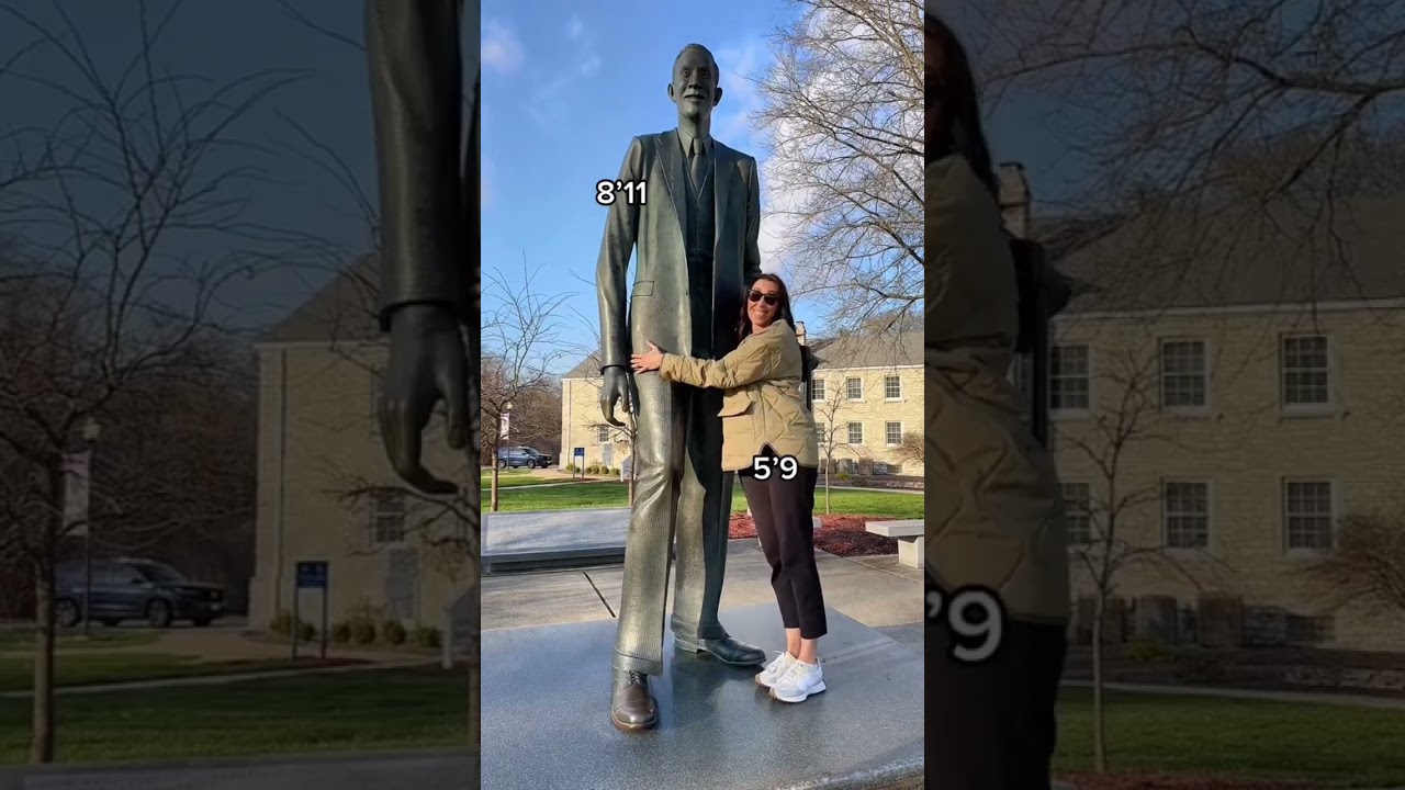 Compared to the tallest man in the world #tall #tallfamily