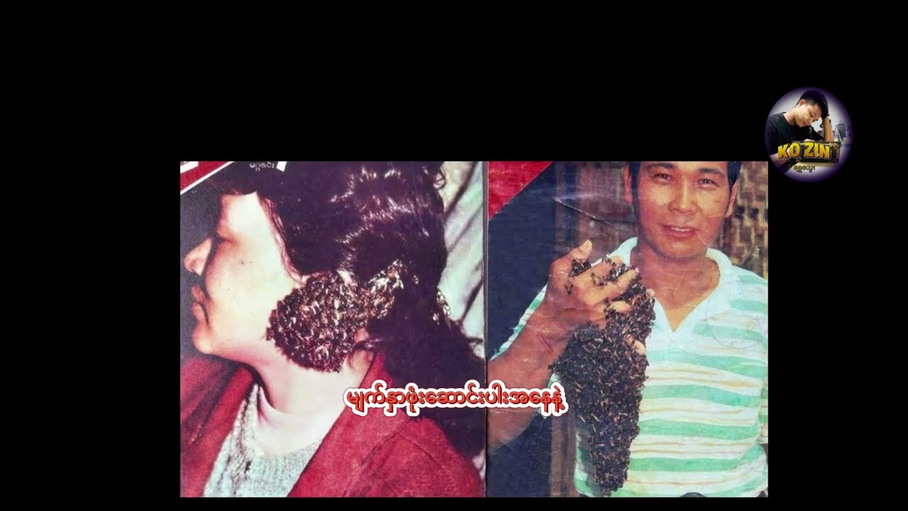 မိုးကုတ်ရဲ့ အံ့သြဖွယ် လူပေါ် ပျားစွဲတဲ့ ဖြစ်ရပ်”