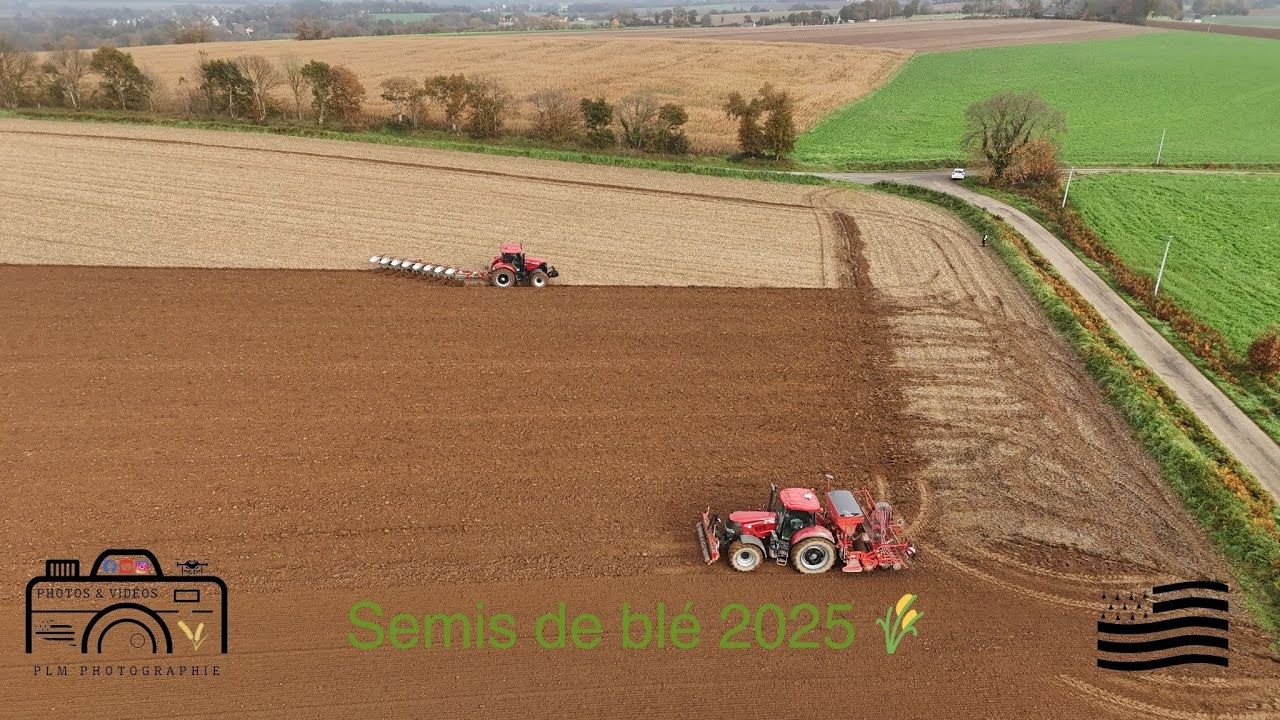 Semis de blé 2025 en Bretagne 🌾 🔴⚫️ Case IH Puma 240 et Case IH Puma 170 🔴⚫️