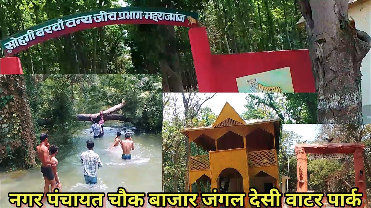 देसी वाटर पार्क नगर पंचायत चौक बाजार जंगल महाराजगंज || Desi water Park 🏞️